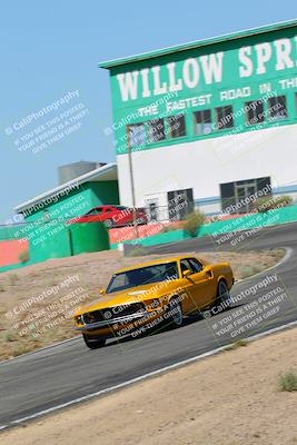 media/May-07-2022-Cobra Owners Club of America (Sat) [[e681d2ddb7]]/Yellow/Session 1 (Turn 4)/